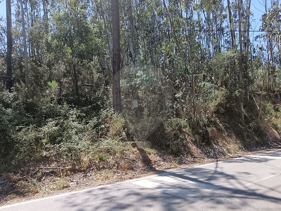 Terreno - Abiul, Pombal, Leiria
