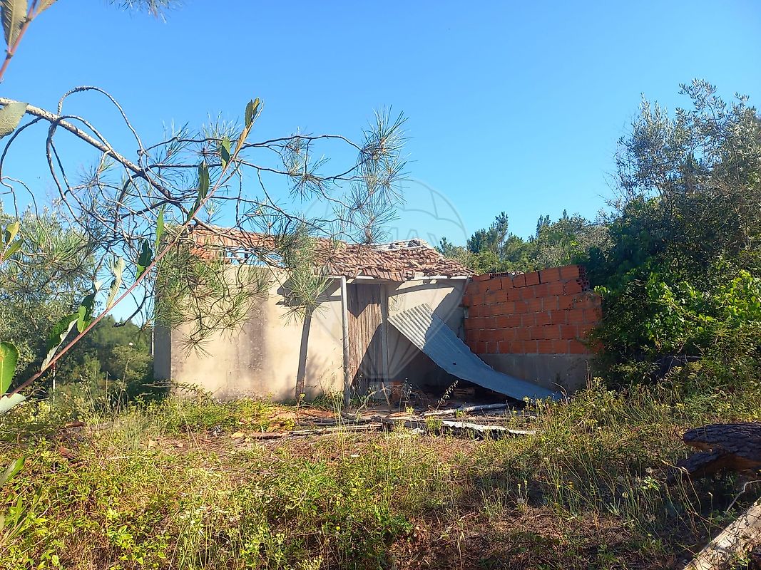 Terreno - Pussos São Pedro, Alvaiázere, Leiria
