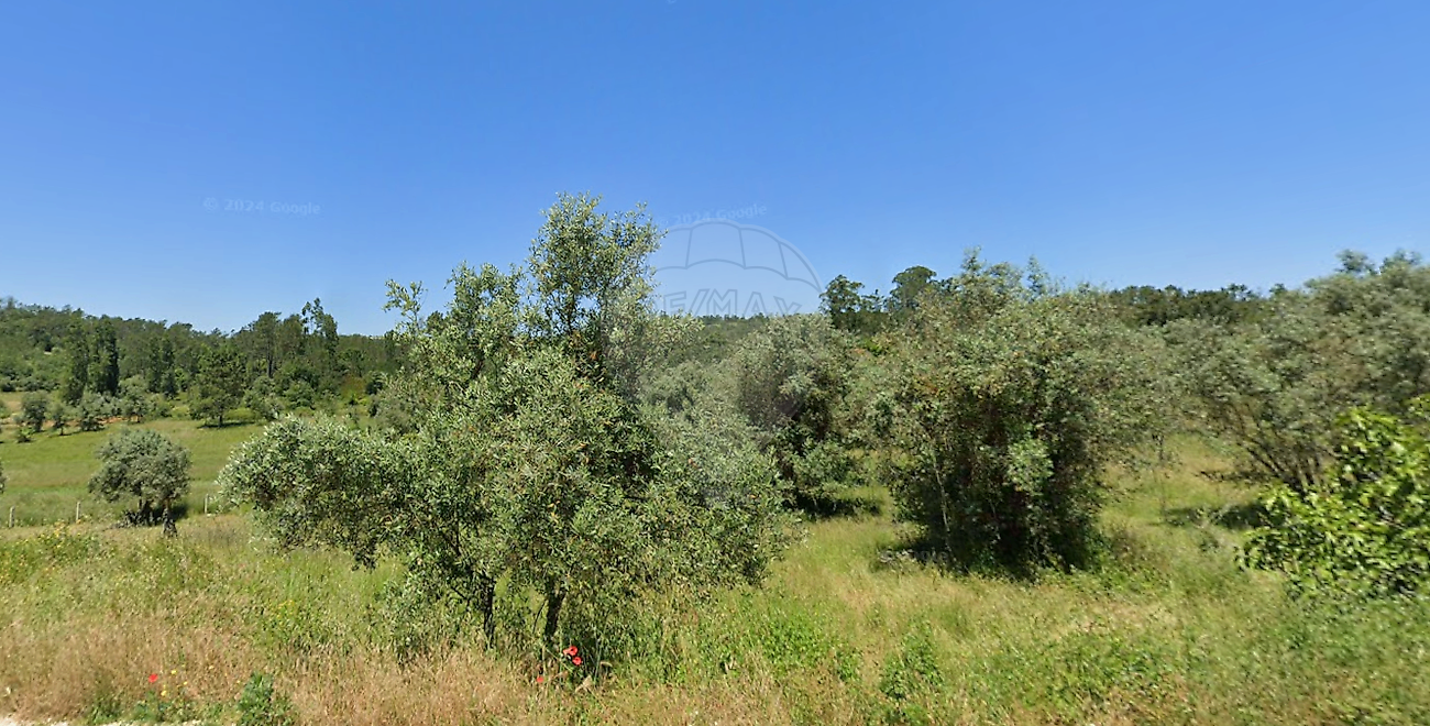 Terreno - Vila Cã, Pombal, Leiria