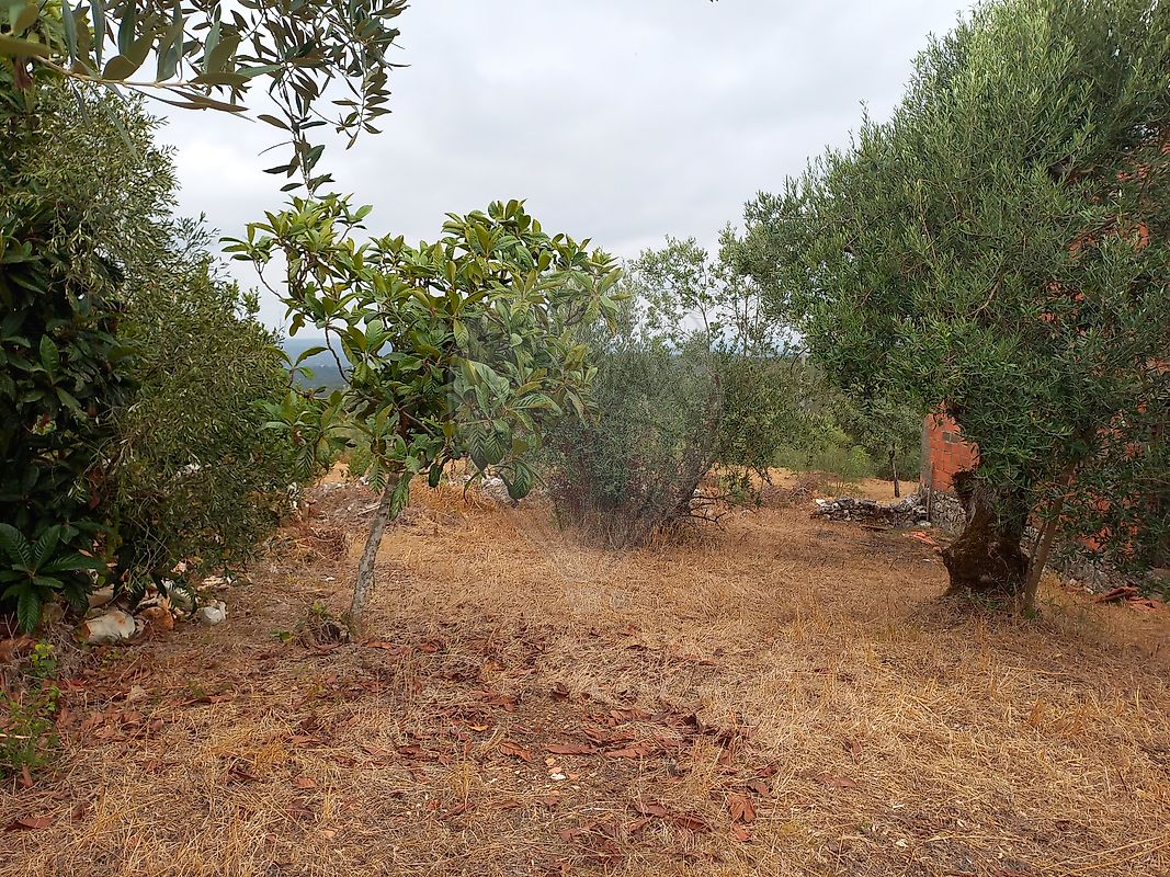 Moradia T3 à venda em Pelmá, Alvaiázere — foto 12