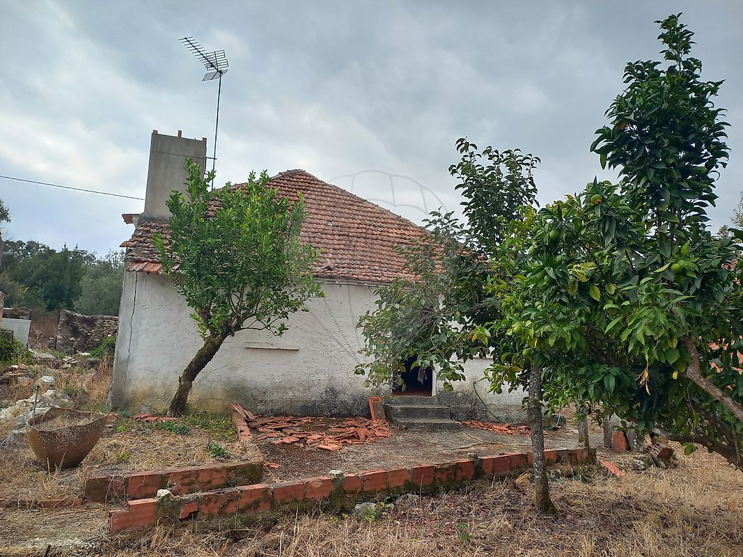 Moradia T3 à venda em Pelmá, Alvaiázere — foto 14