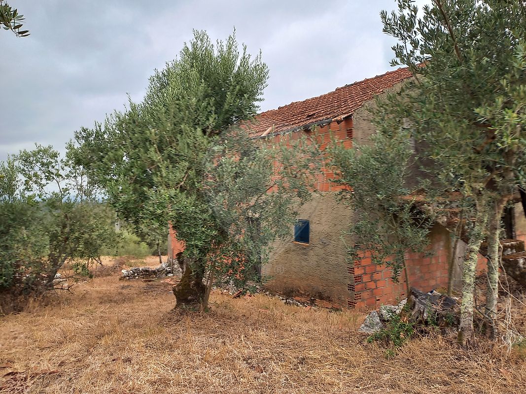 Moradia T3 à venda em Pelmá, Alvaiázere — foto 10