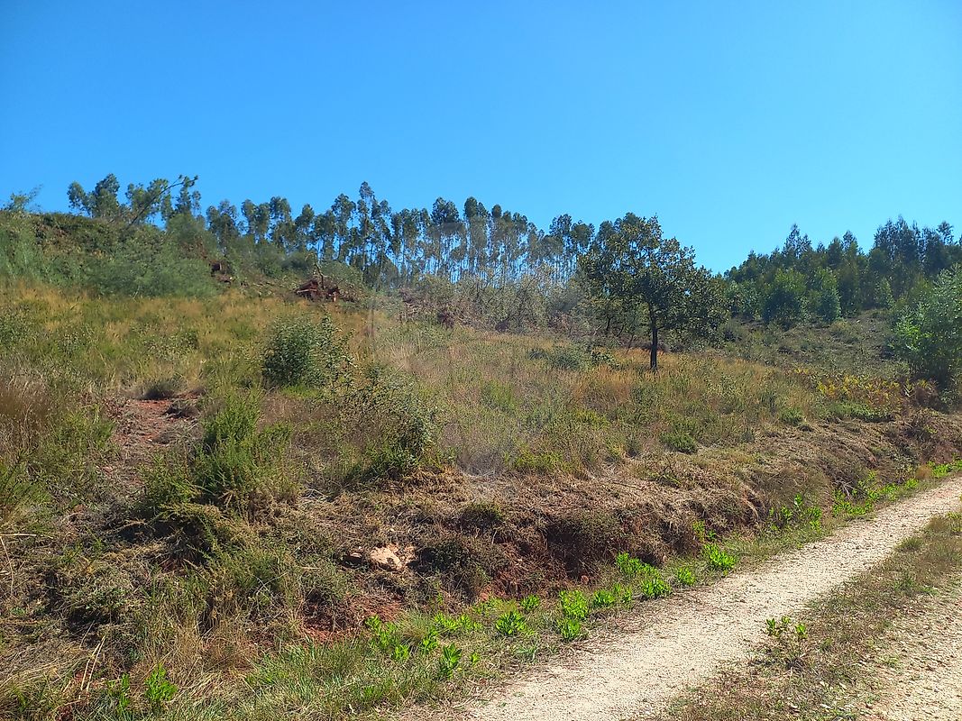 Moradia T3 à venda em Pousaflores, Ansião — foto 6