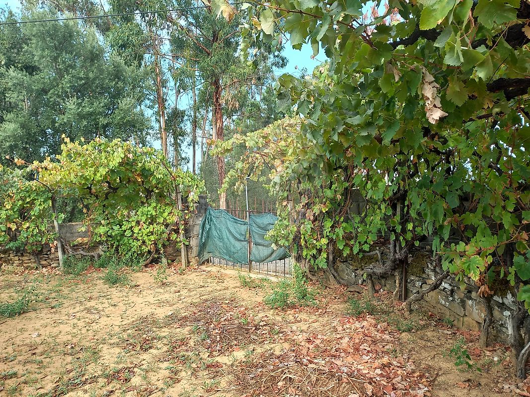 Moradia T2 à venda em Pedrógão Pequeno, Sertã — foto 20