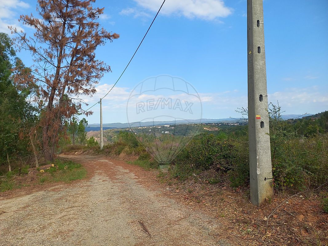 Moradia T2 à venda em Pedrógão Pequeno, Sertã — foto 13