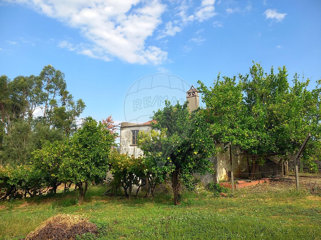 Moradia T2 à venda em Pedrógão Pequeno, Sertã — foto 18
