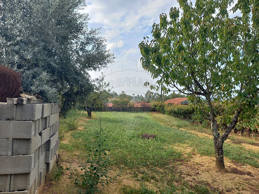Moradia T2 à venda em Pedrógão Pequeno, Sertã — foto 19