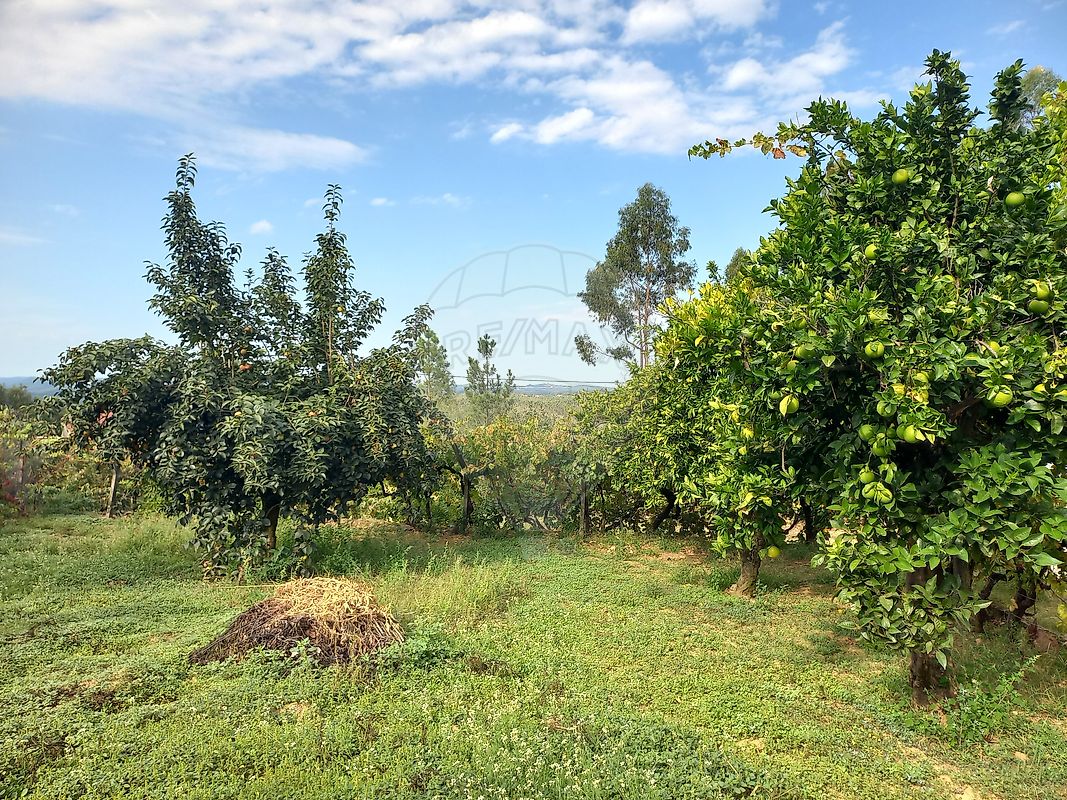 Moradia T2 à venda em Pedrógão Pequeno, Sertã — foto 15