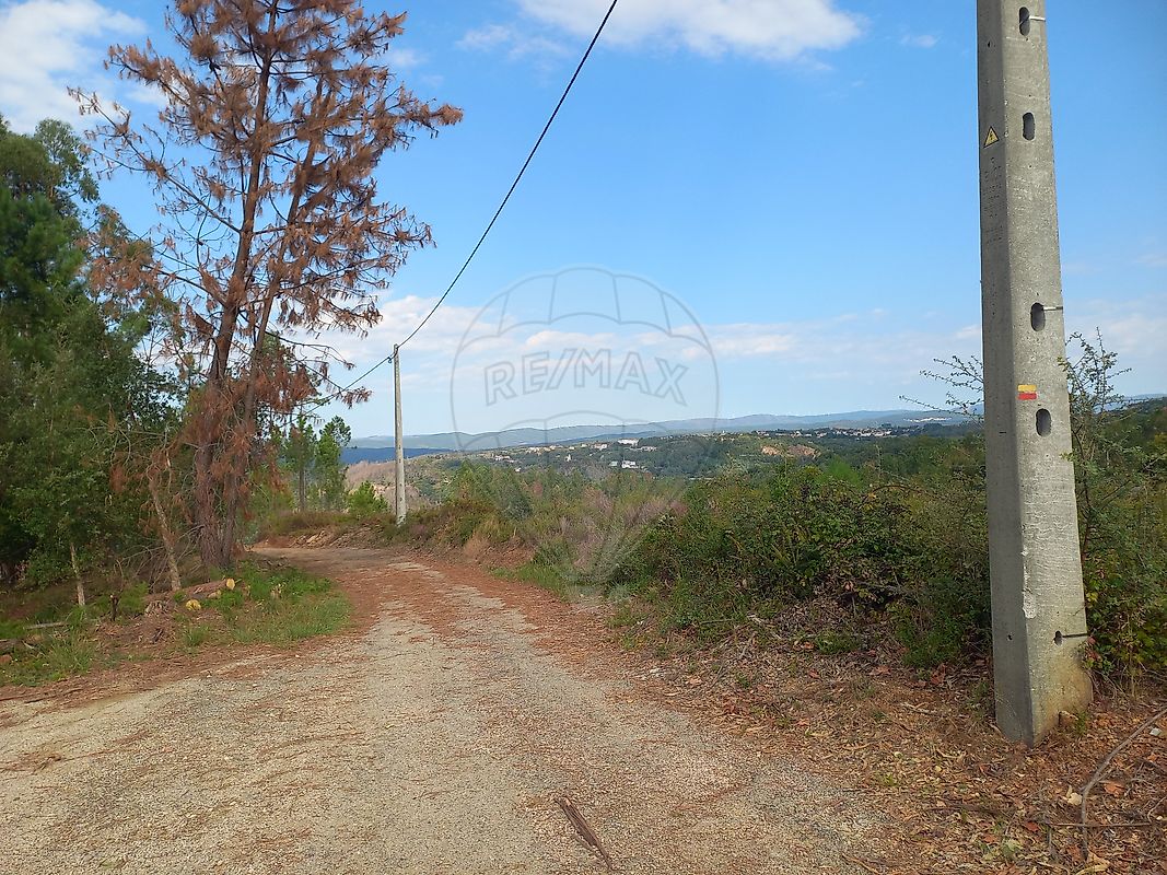 Moradia T2 à venda em Pedrógão Pequeno, Sertã — foto 14