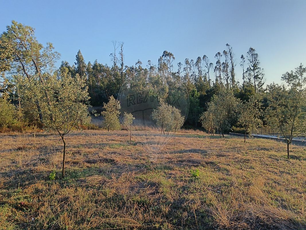 Terreno - Vila Cã, Pombal, Leiria
