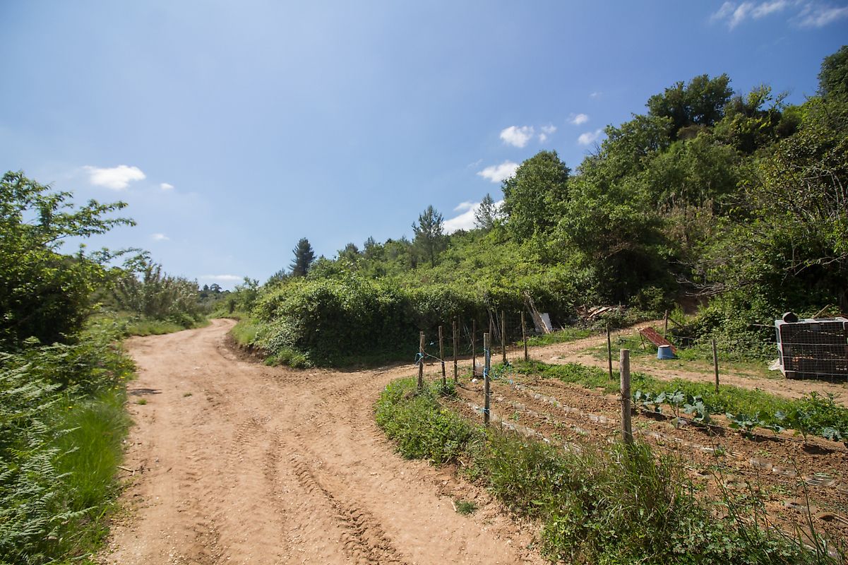 Terreno  à venda em Alenquer