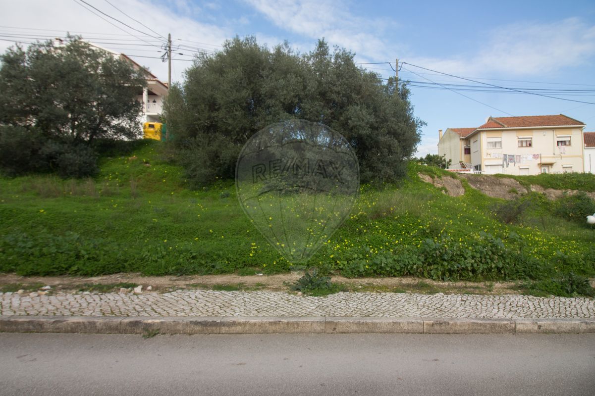 listing-picture-0