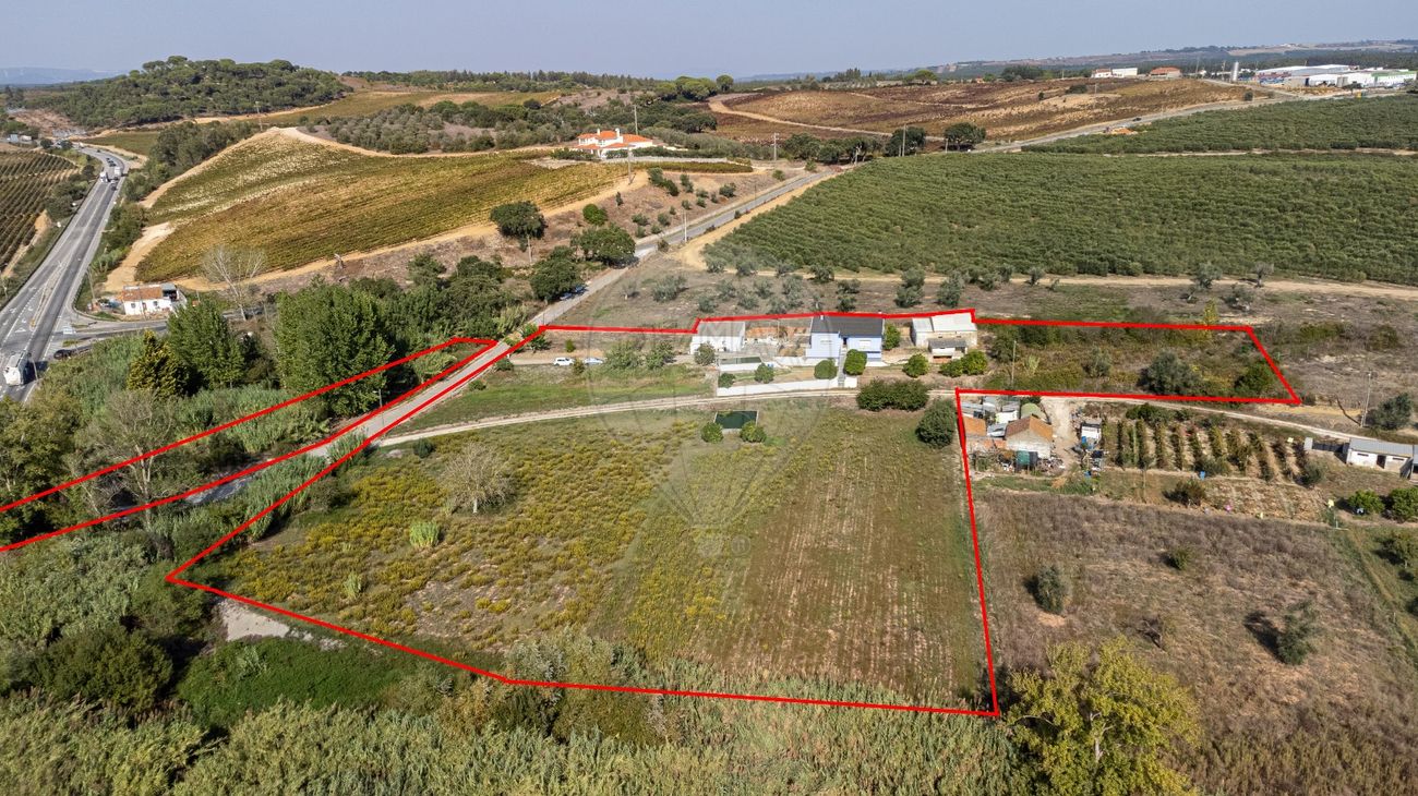 listing-picture-0