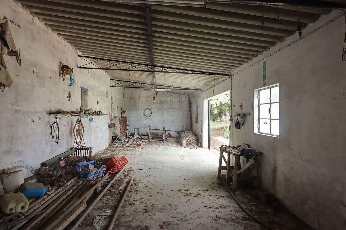 listing-picture-0