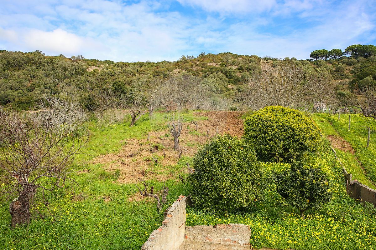 listing-picture-0