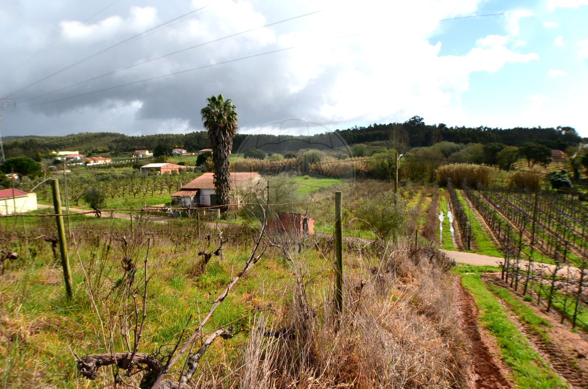 Terreno para venda