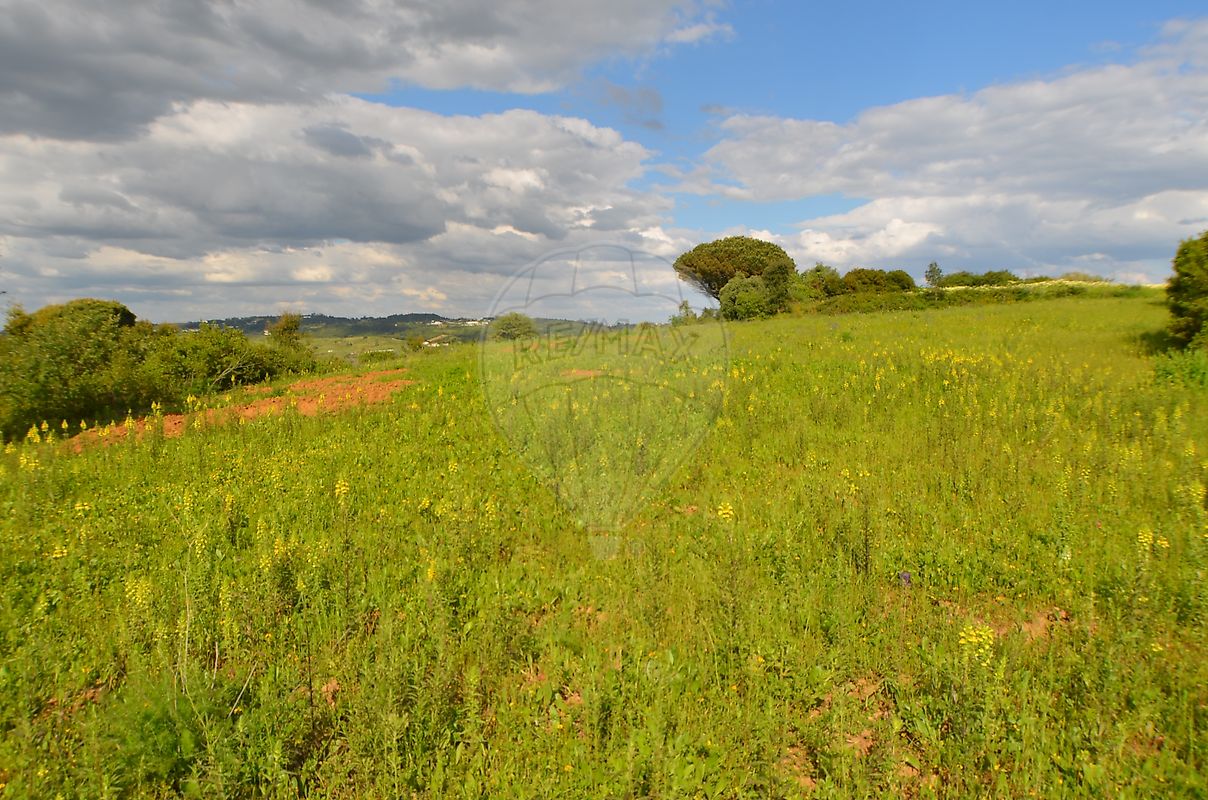 Terreno para venda
