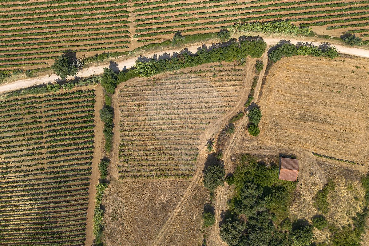 Terreno  para venda