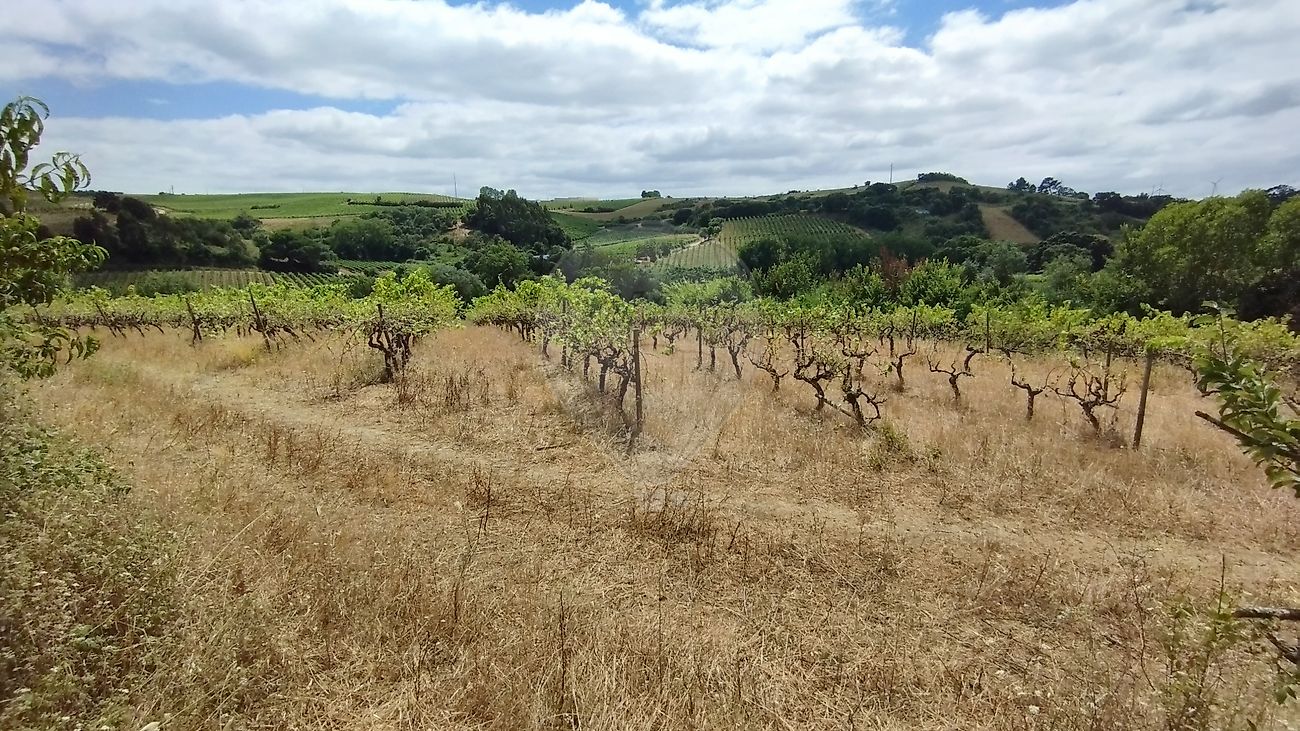 Terreno para venda