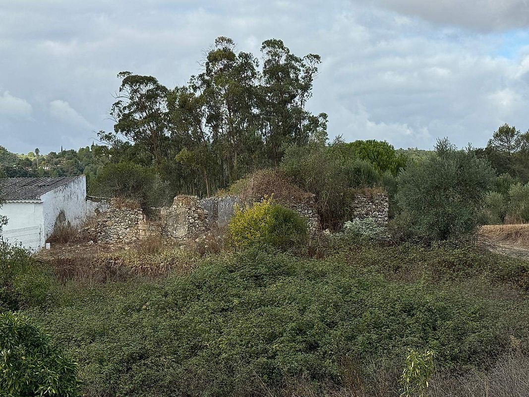 Moradia T0 para venda