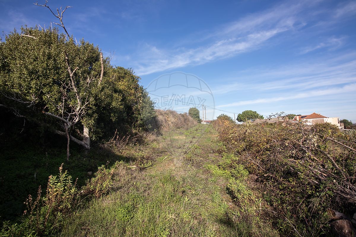 Moradia T3 à venda em Alenquer (Santo Estêvão e Triana), Alenquer — foto 20