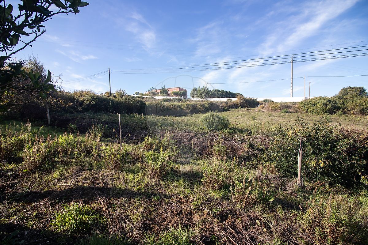 Moradia T3 à venda em Alenquer (Santo Estêvão e Triana), Alenquer — foto 33