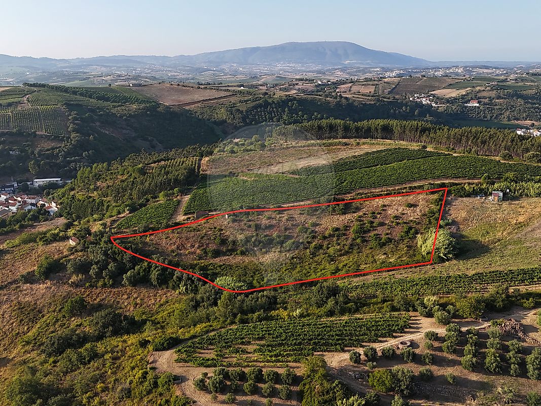 Moradia T2 à venda em Ribafria e Pereiro de Palhacana, Alenquer — foto 19
