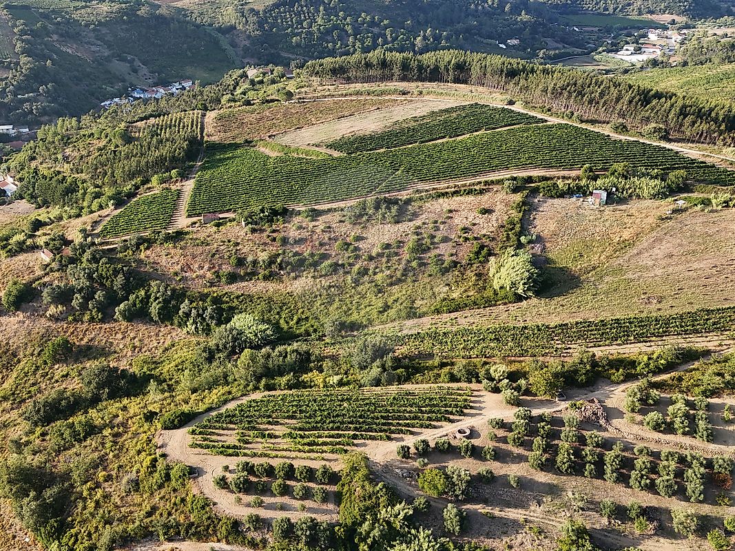 Moradia T2 à venda em Ribafria e Pereiro de Palhacana, Alenquer — foto 16
