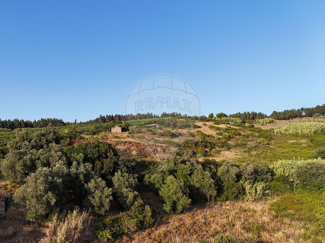 Moradia T2 à venda em Ribafria e Pereiro de Palhacana, Alenquer — foto 12