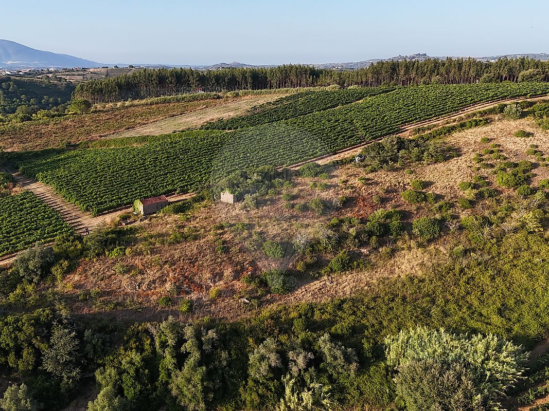 Moradia T2 à venda em Ribafria e Pereiro de Palhacana, Alenquer — foto 13