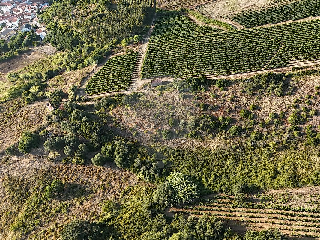Moradia T2 à venda em Ribafria e Pereiro de Palhacana, Alenquer — foto 15