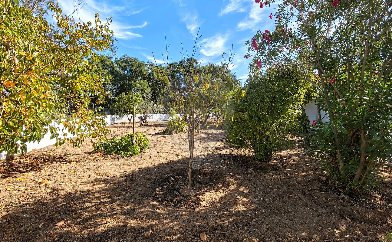 Moradia T3 à venda em Póvoa da Isenta, Santarém — foto 23
