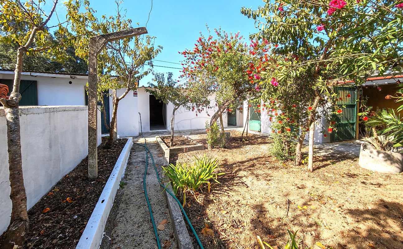 Moradia T3 à venda em Póvoa da Isenta, Santarém — foto 18