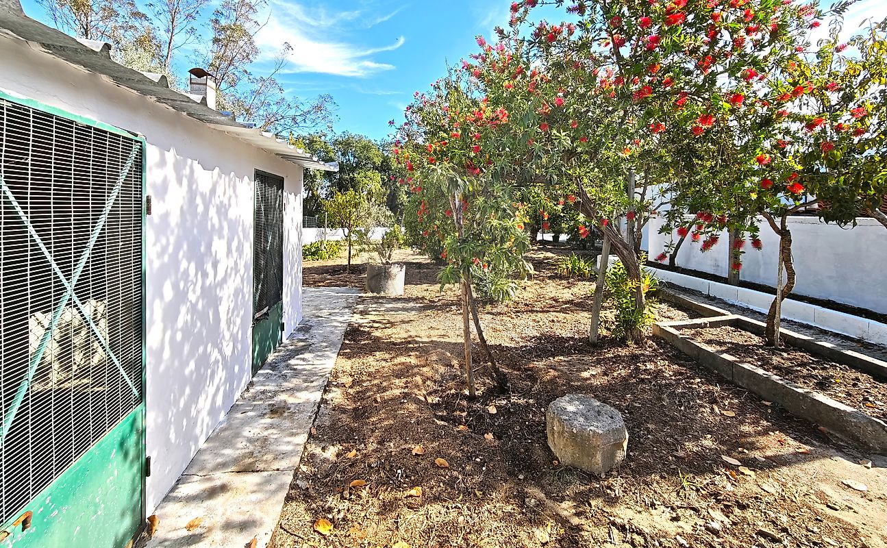 Moradia T3 à venda em Póvoa da Isenta, Santarém — foto 19