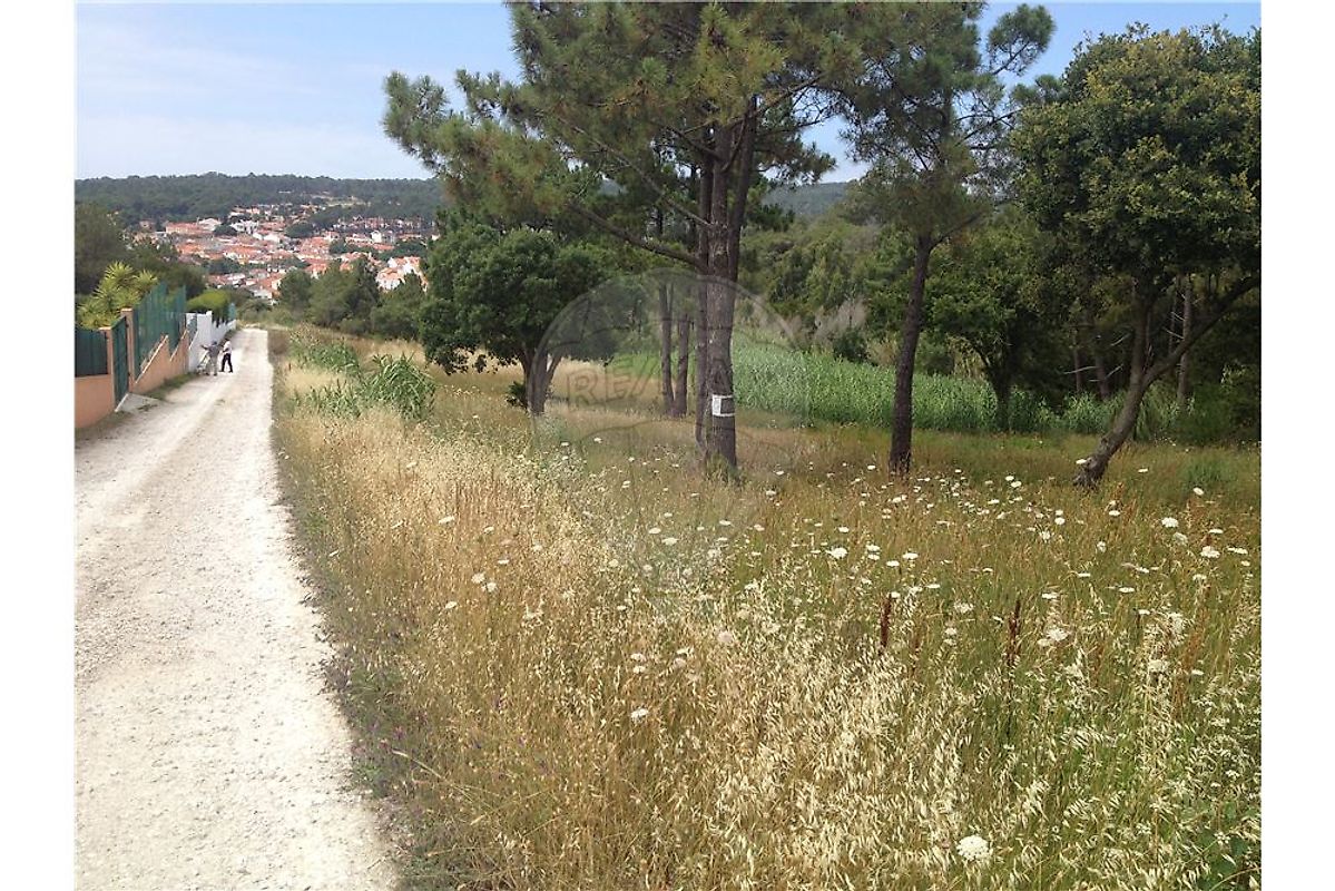 Terreno à venda em Mucifal