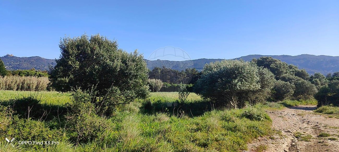 Terreno  à venda em Sintra