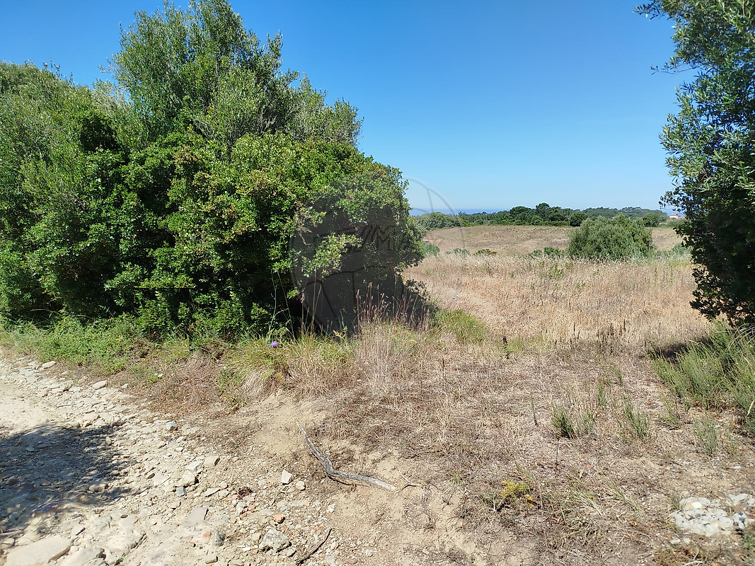 Terreno  à venda em Sintra
