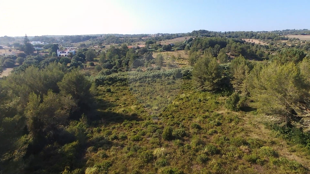 Terreno  à venda em Sintra