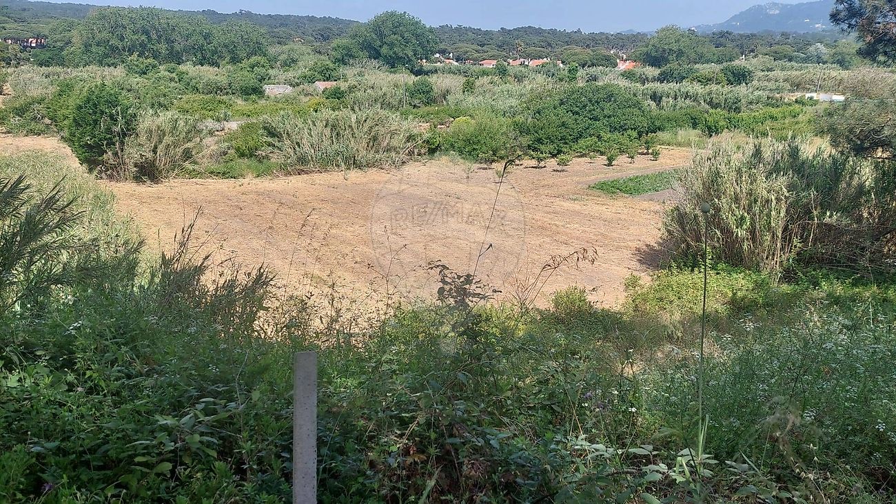 Terreno  para venda