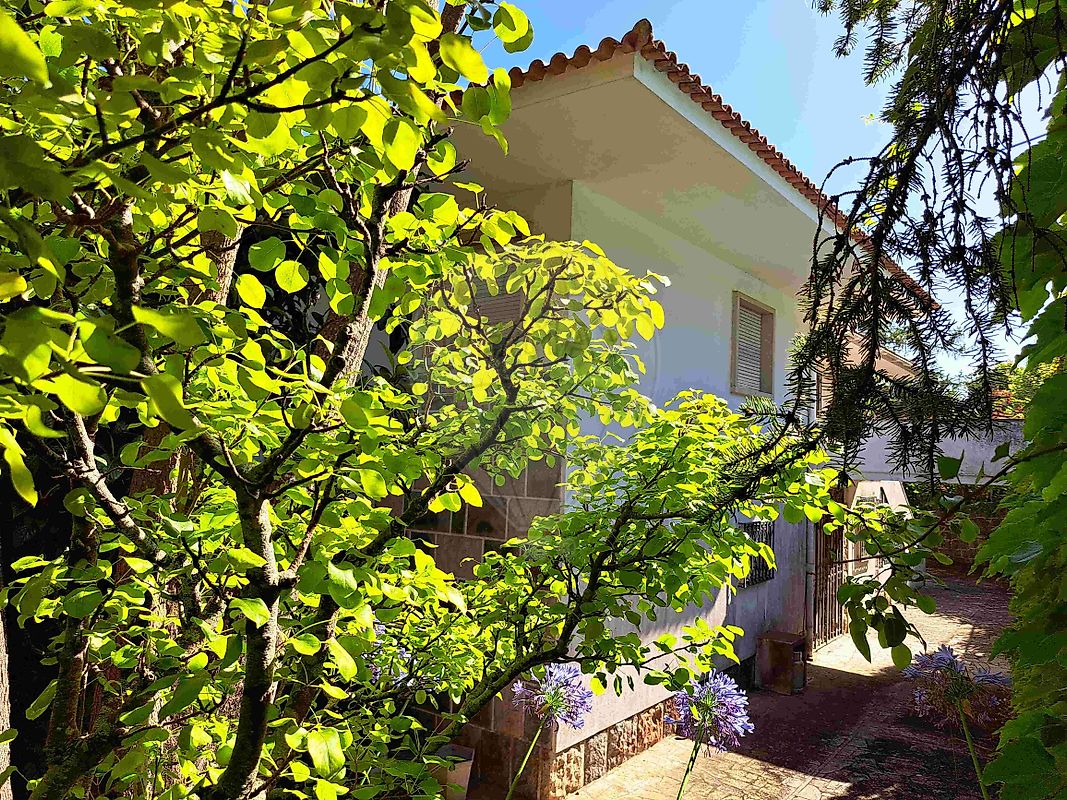 listing 122621103-3 picture-0