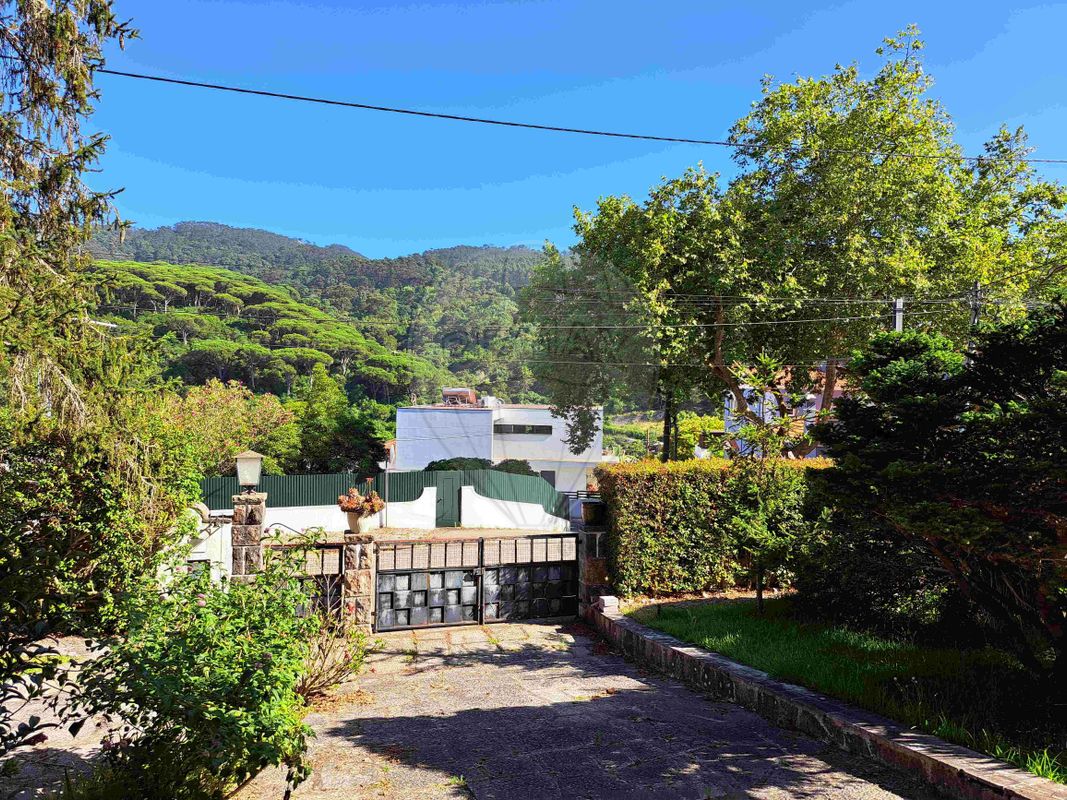 listing 122621103-3 picture-0