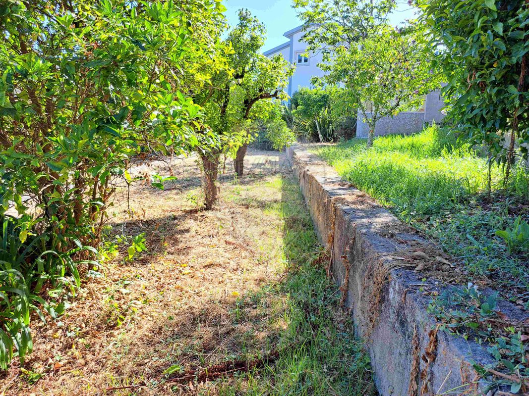 listing 122621103-3 picture-0