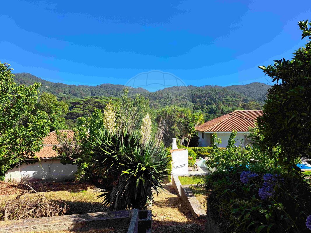 listing 122621103-3 picture-0