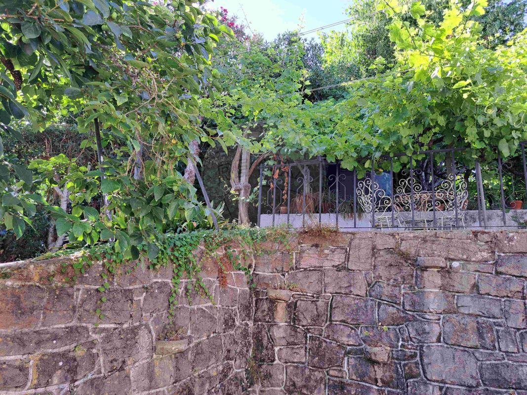 listing 122621103-3 picture-0