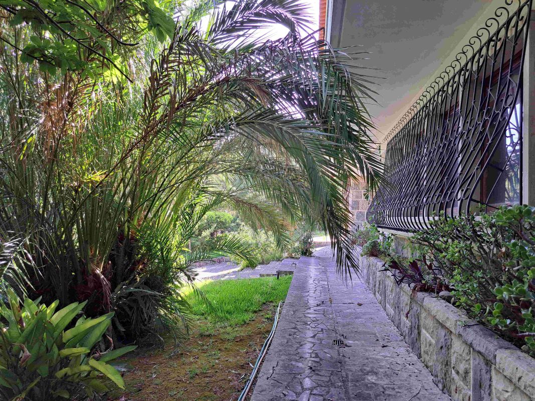 listing 122621103-3 picture-0