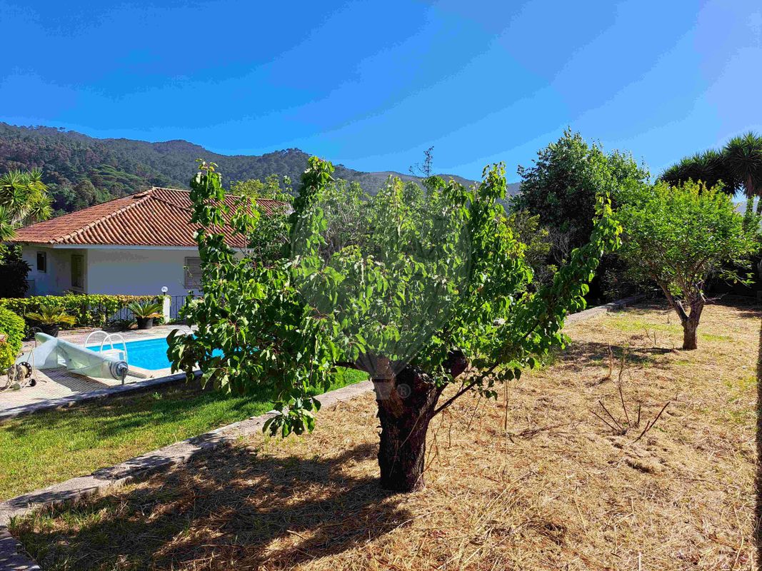 listing 122621103-3 picture-0