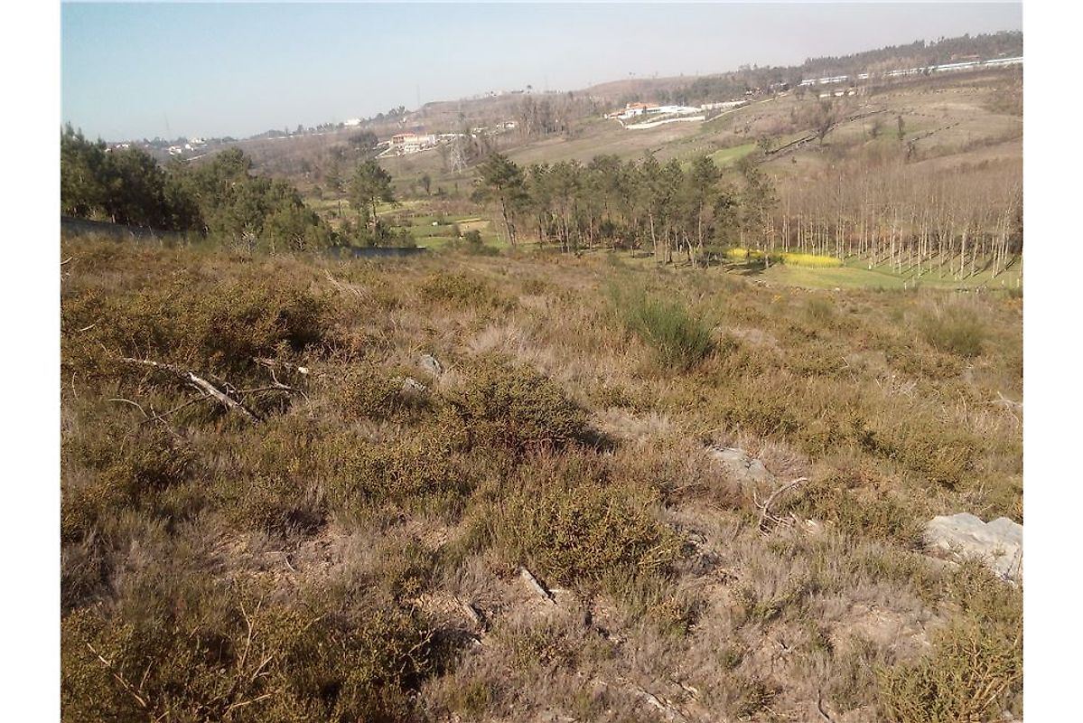 Terreno à venda em Paredes