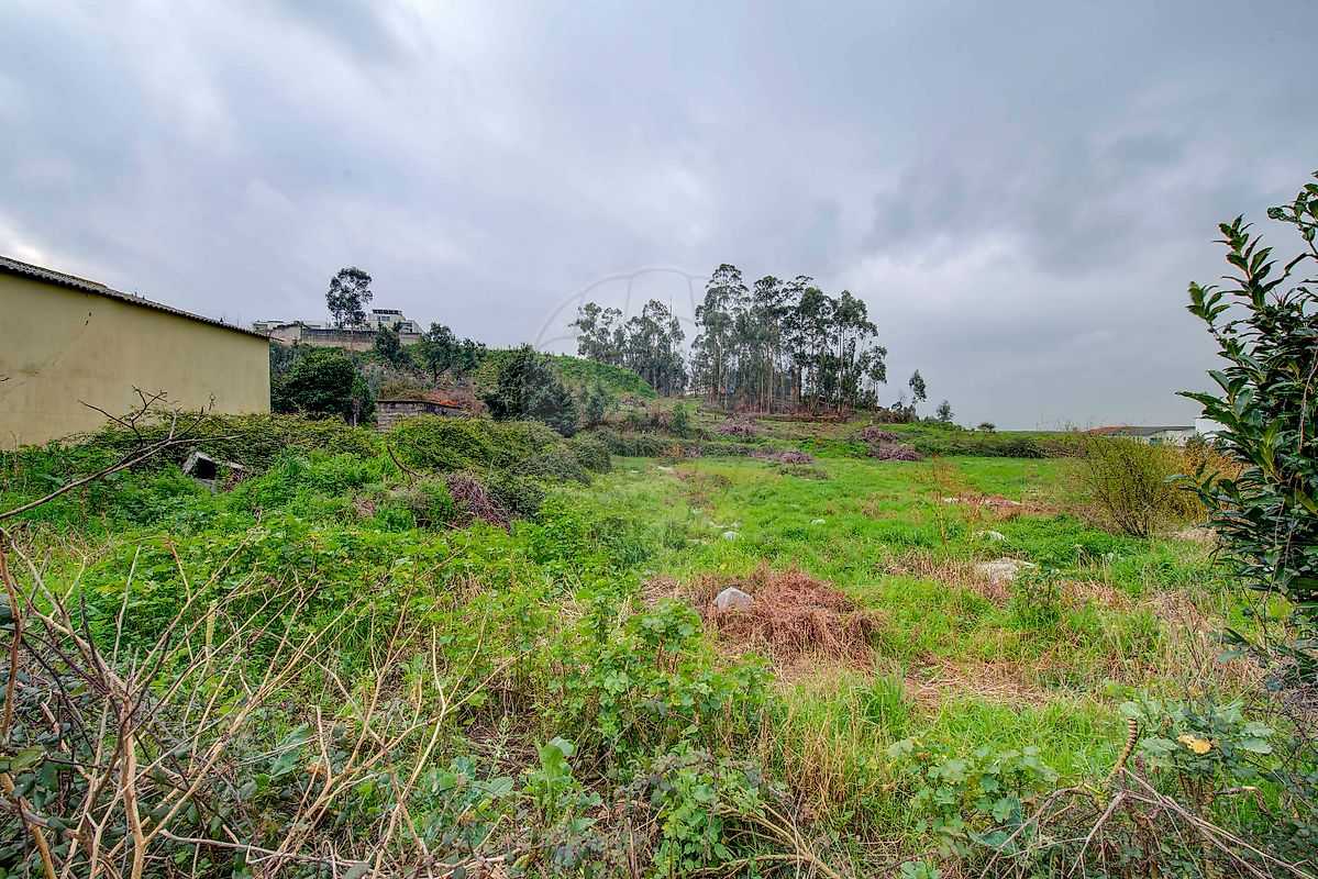 listing 122671071-20 picture-0