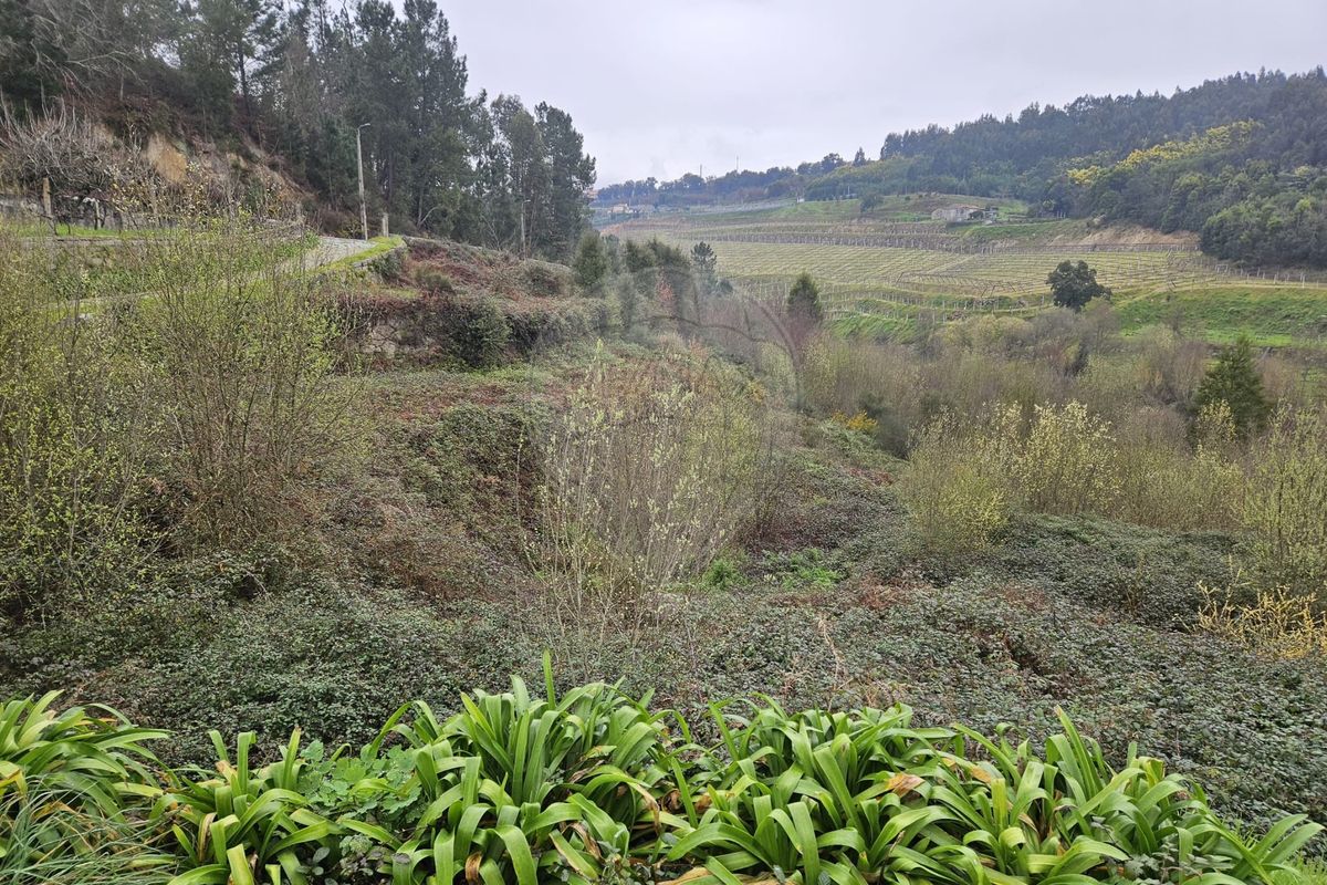 Terreno para venda