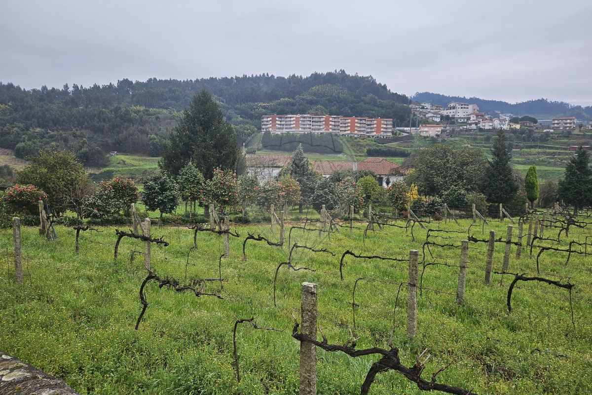 Terreno para venda